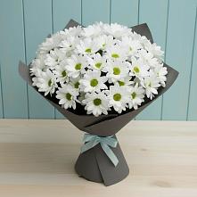 Букет цветов из:  Хризантемы в Нальчике